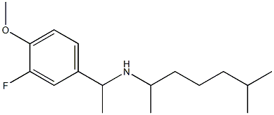 [1-(3-fluoro-4-methoxyphenyl)ethyl](6-methylheptan-2-yl)amine