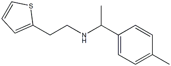 [1-(4-methylphenyl)ethyl][2-(thiophen-2-yl)ethyl]amine