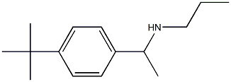 [1-(4-tert-butylphenyl)ethyl](propyl)amine 化学構造式