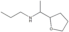 [1-(oxolan-2-yl)ethyl](propyl)amine Structure