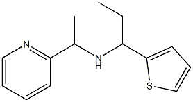 [1-(pyridin-2-yl)ethyl][1-(thiophen-2-yl)propyl]amine|