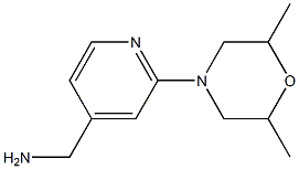 [2-(2,6-dimethylmorpholin-4-yl)pyridin-4-yl]methylamine Struktur