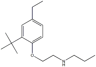 [2-(2-tert-butyl-4-ethylphenoxy)ethyl](propyl)amine,,结构式