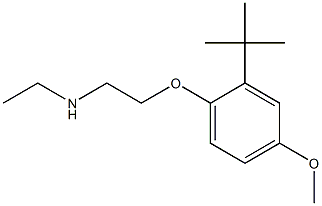 [2-(2-tert-butyl-4-methoxyphenoxy)ethyl](ethyl)amine 化学構造式