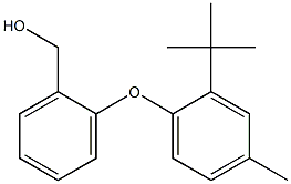 [2-(2-tert-butyl-4-methylphenoxy)phenyl]methanol Struktur