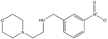 [2-(morpholin-4-yl)ethyl][(3-nitrophenyl)methyl]amine