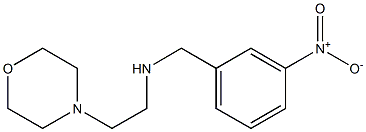 [2-(morpholin-4-yl)ethyl][(3-nitrophenyl)methyl]amine Structure