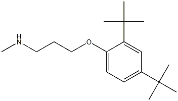 [3-(2,4-di-tert-butylphenoxy)propyl](methyl)amine