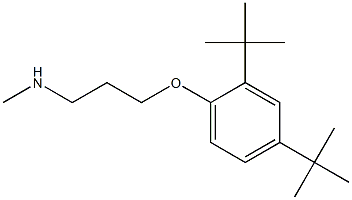 [3-(2,4-di-tert-butylphenoxy)propyl](methyl)amine|