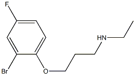 [3-(2-bromo-4-fluorophenoxy)propyl](ethyl)amine,,结构式