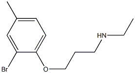 [3-(2-bromo-4-methylphenoxy)propyl](ethyl)amine Structure