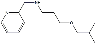 [3-(2-methylpropoxy)propyl](pyridin-2-ylmethyl)amine Structure