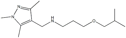 [3-(2-methylpropoxy)propyl][(1,3,5-trimethyl-1H-pyrazol-4-yl)methyl]amine