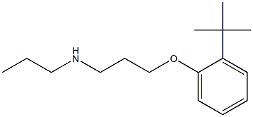 [3-(2-tert-butylphenoxy)propyl](propyl)amine 化学構造式