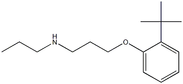 [3-(2-tert-butylphenoxy)propyl](propyl)amine 结构式