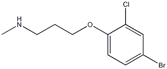 [3-(4-bromo-2-chlorophenoxy)propyl](methyl)amine 结构式