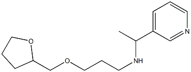 [3-(oxolan-2-ylmethoxy)propyl][1-(pyridin-3-yl)ethyl]amine Structure