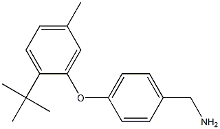 [4-(2-tert-butyl-5-methylphenoxy)phenyl]methanamine 化学構造式