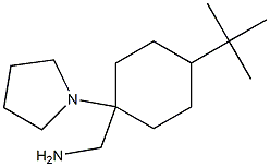 [4-tert-butyl-1-(pyrrolidin-1-yl)cyclohexyl]methanamine