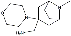 [8-methyl-3-(morpholin-4-yl)-8-azabicyclo[3.2.1]octan-3-yl]methanamine Structure