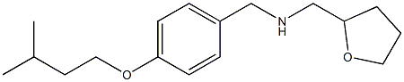  {[4-(3-methylbutoxy)phenyl]methyl}(oxolan-2-ylmethyl)amine