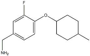 {3-fluoro-4-[(4-methylcyclohexyl)oxy]phenyl}methanamine 结构式