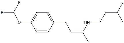 {4-[4-(difluoromethoxy)phenyl]butan-2-yl}(3-methylbutyl)amine,,结构式