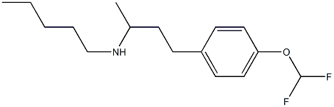 {4-[4-(difluoromethoxy)phenyl]butan-2-yl}(pentyl)amine 结构式