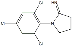 1-(2,4,6-trichlorophenyl)pyrrolidin-2-imine