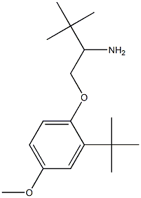 1-(2-amino-3,3-dimethylbutoxy)-2-tert-butyl-4-methoxybenzene Structure