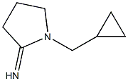 1-(cyclopropylmethyl)pyrrolidin-2-imine Structure