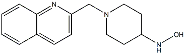 1-(quinolin-2-ylmethyl)piperidine-4-hydroxylamine 结构式