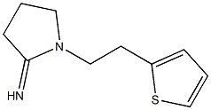 1-[2-(thiophen-2-yl)ethyl]pyrrolidin-2-imine