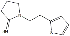 1-[2-(thiophen-2-yl)ethyl]pyrrolidin-2-imine Structure