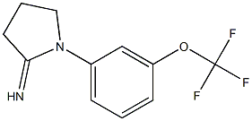 1-[3-(trifluoromethoxy)phenyl]pyrrolidin-2-imine,,结构式
