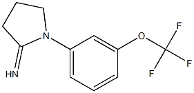 1-[3-(trifluoromethoxy)phenyl]pyrrolidin-2-imine Struktur