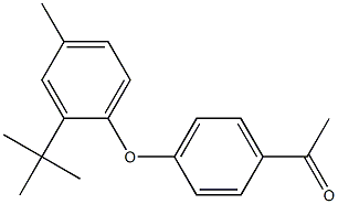 1-[4-(2-tert-butyl-4-methylphenoxy)phenyl]ethan-1-one Struktur