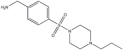 1-{4-[(4-propylpiperazin-1-yl)sulfonyl]phenyl}methanamine