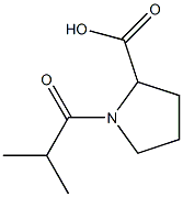 1-isobutyrylpyrrolidine-2-carboxylic acid