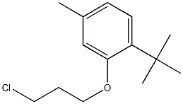 1-tert-butyl-2-(3-chloropropoxy)-4-methylbenzene Struktur