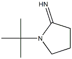 1-tert-butylpyrrolidin-2-imine,,结构式