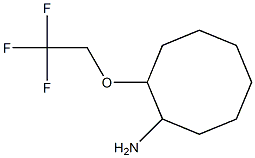 2-(2,2,2-trifluoroethoxy)cyclooctanamine Structure