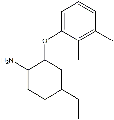 2-(2,3-dimethylphenoxy)-4-ethylcyclohexan-1-amine