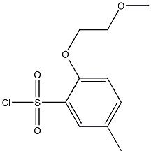 2-(2-methoxyethoxy)-5-methylbenzene-1-sulfonyl chloride,,结构式