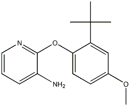 2-(2-tert-butyl-4-methoxyphenoxy)pyridin-3-amine 化学構造式