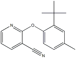 2-(2-tert-butyl-4-methylphenoxy)pyridine-3-carbonitrile Struktur