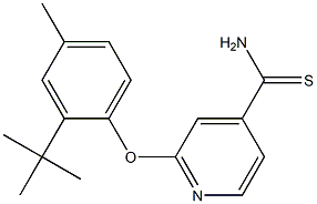2-(2-tert-butyl-4-methylphenoxy)pyridine-4-carbothioamide 结构式