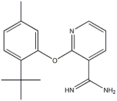 2-(2-tert-butyl-5-methylphenoxy)pyridine-3-carboximidamide,,结构式