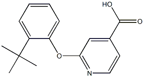 2-(2-tert-butylphenoxy)pyridine-4-carboxylic acid 化学構造式