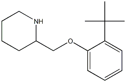 2-(2-tert-butylphenoxymethyl)piperidine 化学構造式